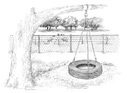 Tire Swing coloring #14, Download drawings