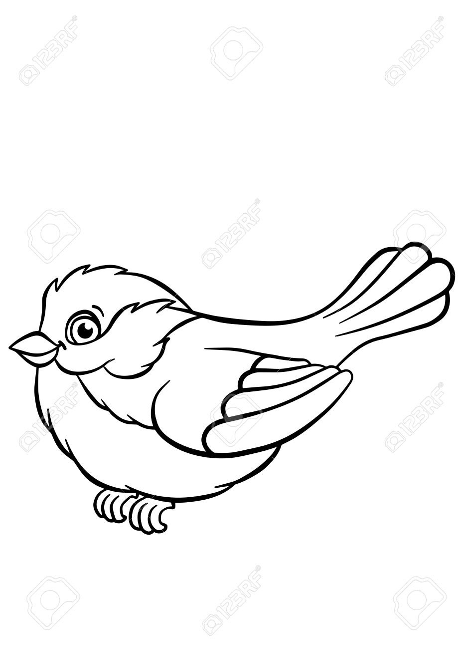 Titmouse clipart #14, Download drawings