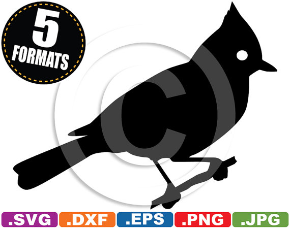 Titmouse svg #16, Download drawings
