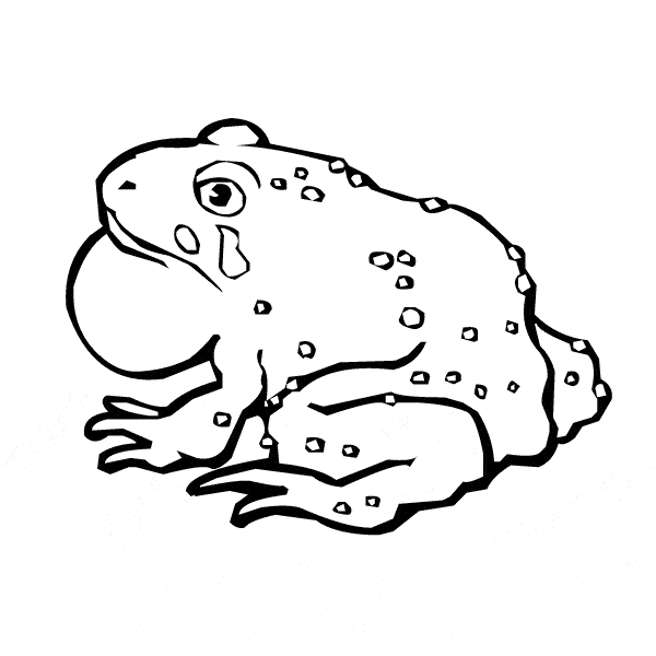 Toad coloring #11, Download drawings