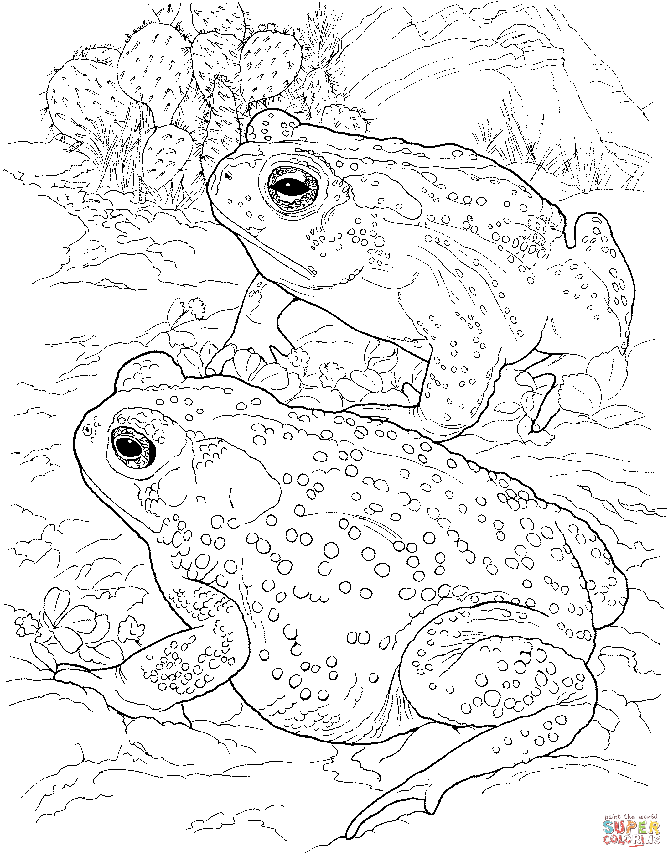Toad coloring #6, Download drawings