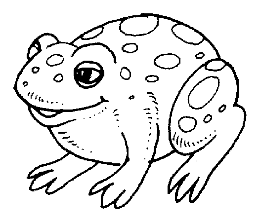 Toad coloring #14, Download drawings
