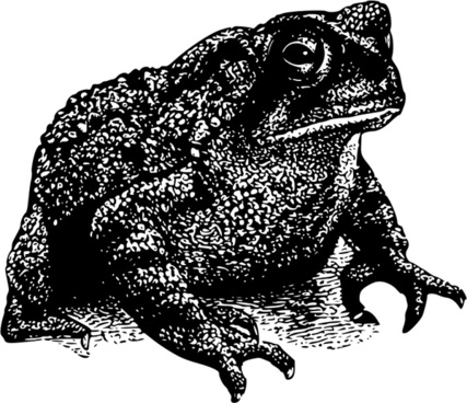 Toad svg #4, Download drawings