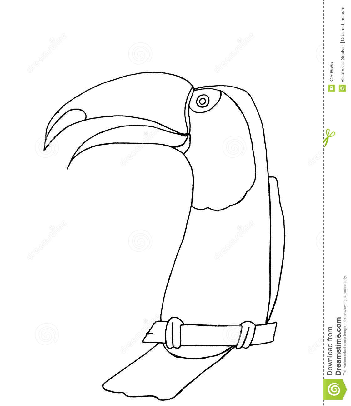Toco Toucan clipart #13, Download drawings