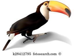 Toco Toucan clipart #7, Download drawings
