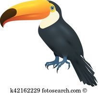 Toco Toucan clipart #20, Download drawings