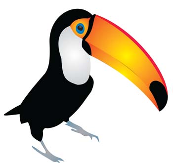 Toco Toucan svg #4, Download drawings