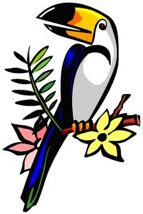 Toco Toucan clipart #17, Download drawings