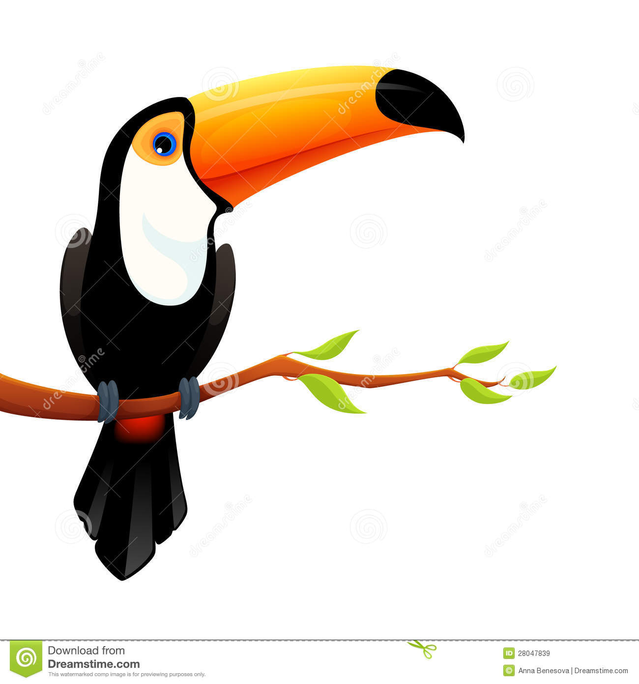Toco Toucan clipart #3, Download drawings
