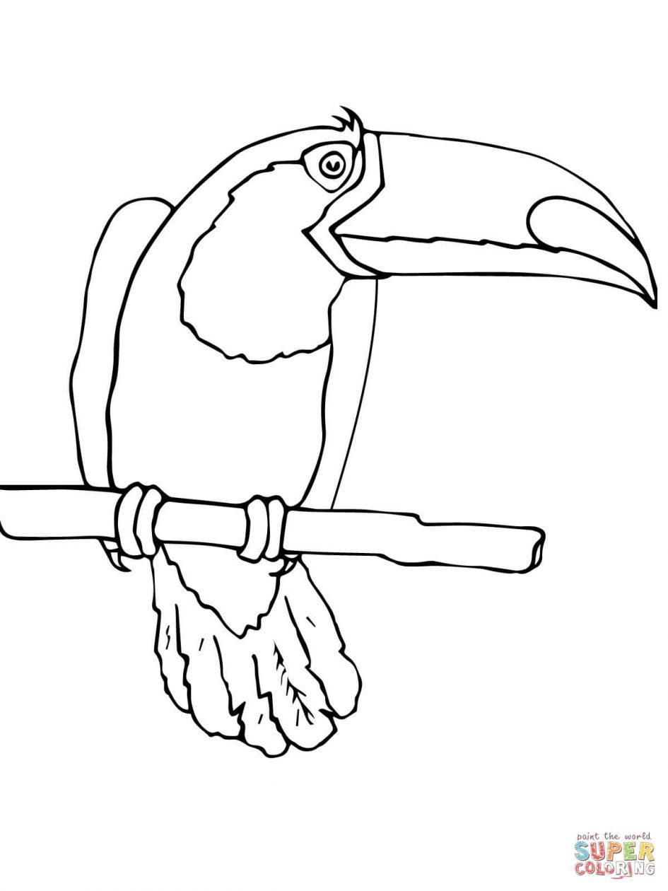 Toco Toucan coloring #6, Download drawings