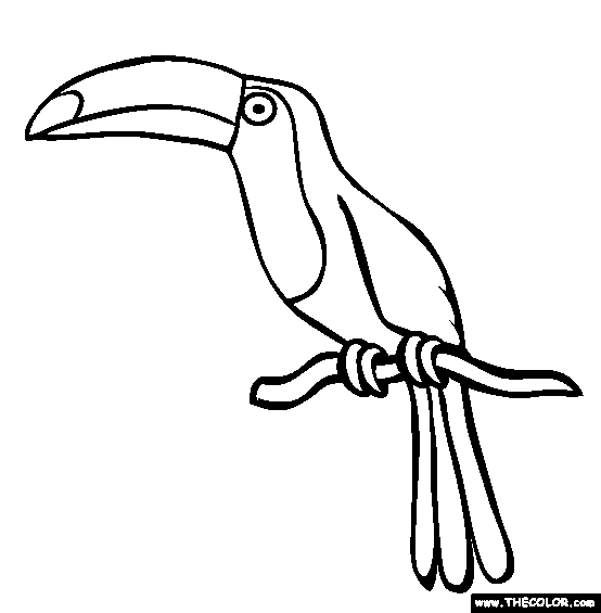 Toucan coloring #19, Download drawings