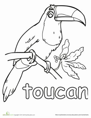 Toco Toucan coloring #20, Download drawings