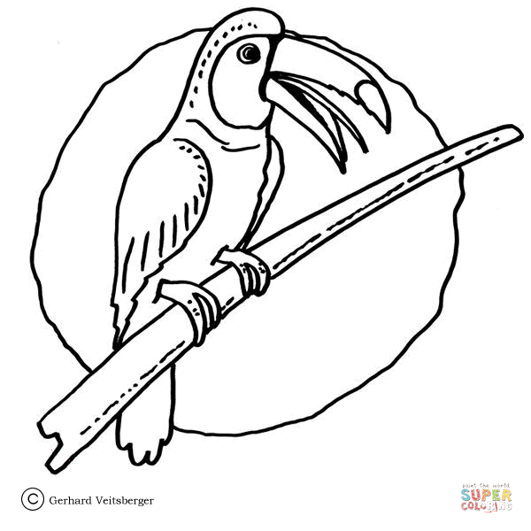 Toco Toucan coloring #13, Download drawings