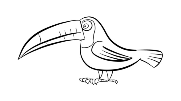 Toco Toucan coloring #17, Download drawings