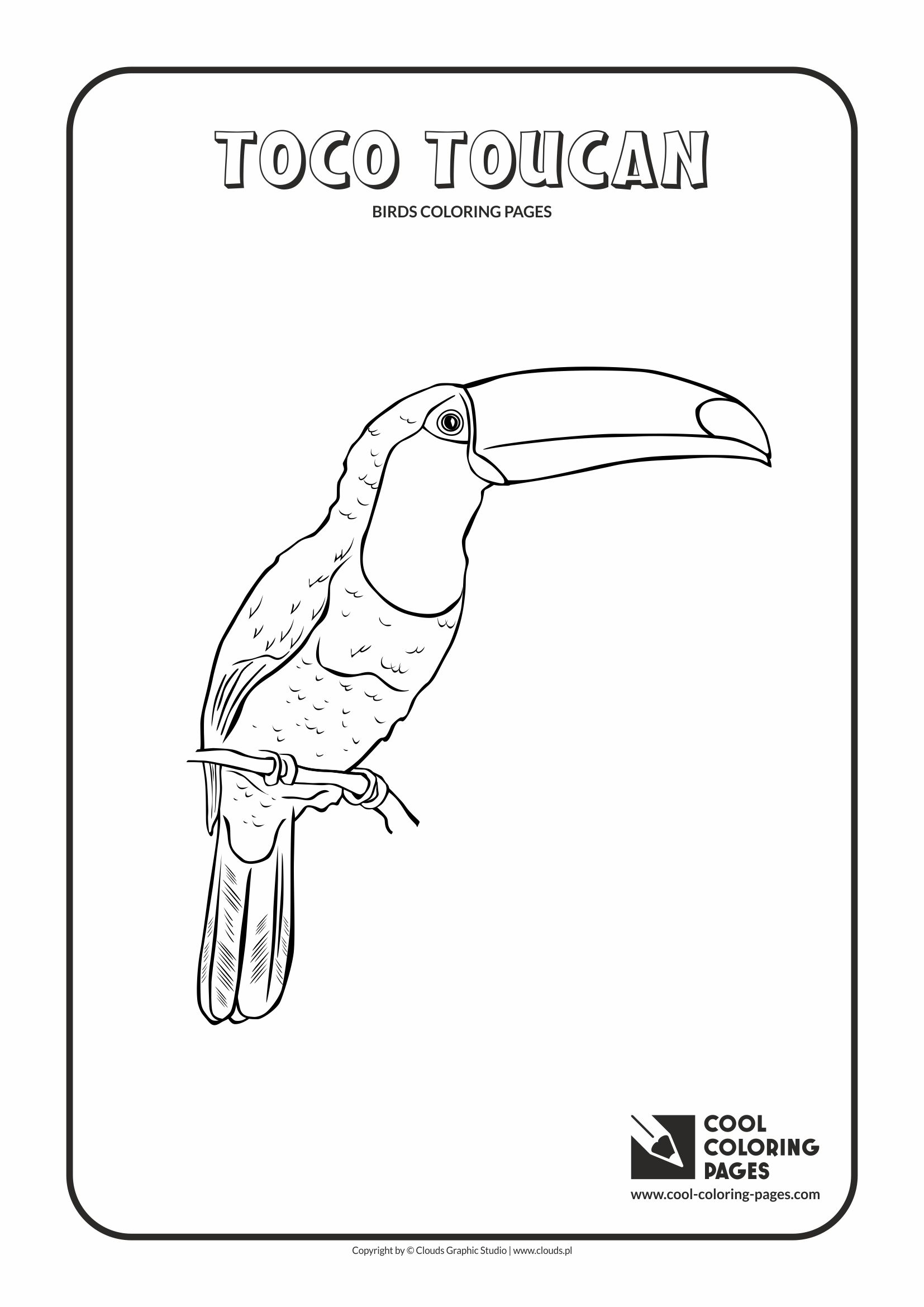 Toco Toucan coloring #11, Download drawings