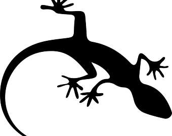 Tokay Gecko svg #9, Download drawings
