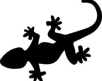 Tokay Gecko svg #13, Download drawings