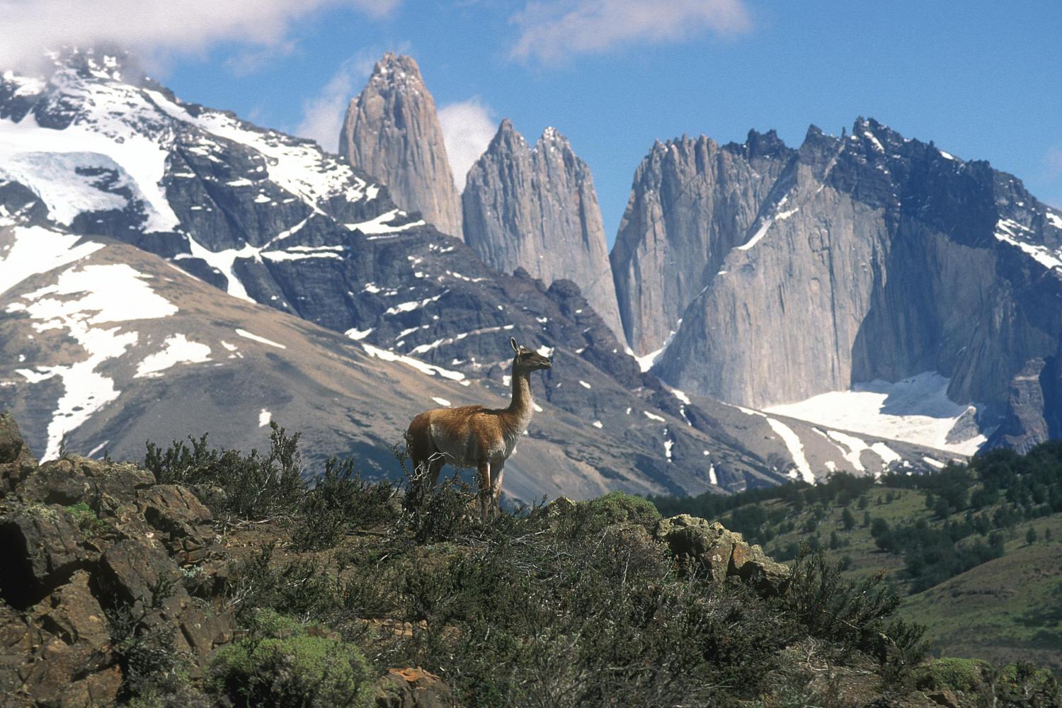 Torres Del Paine National Park clipart #1, Download drawings
