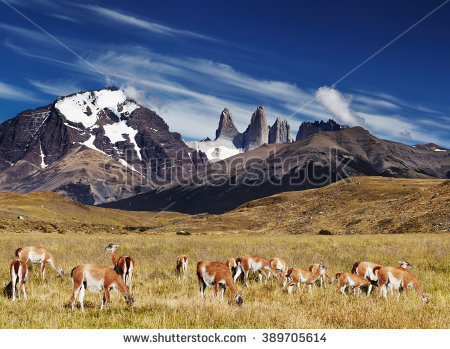 Torres Del Paine National Park clipart #5, Download drawings
