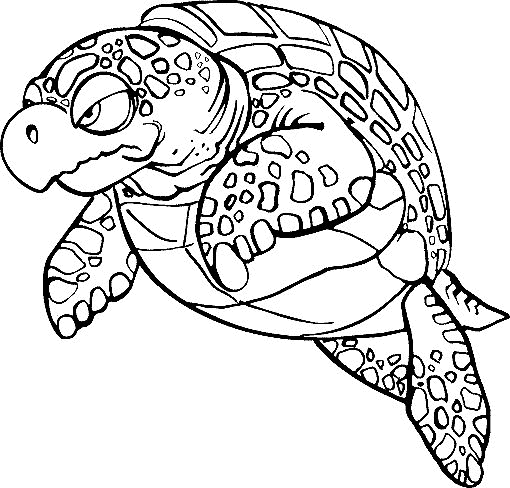 Tortoise coloring #11, Download drawings