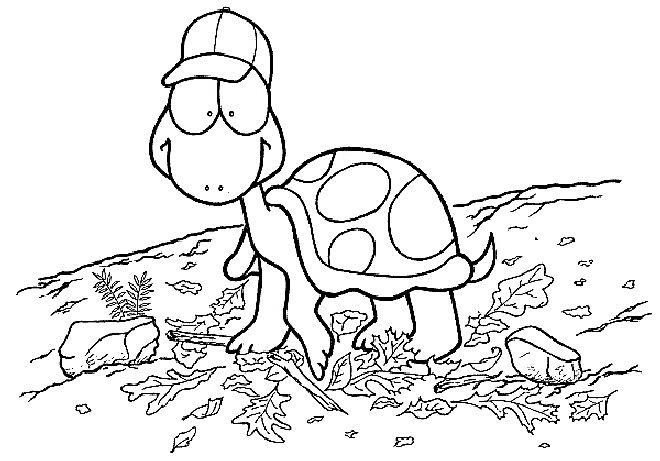 Tortoise coloring #6, Download drawings