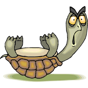 Tortoise svg #4, Download drawings