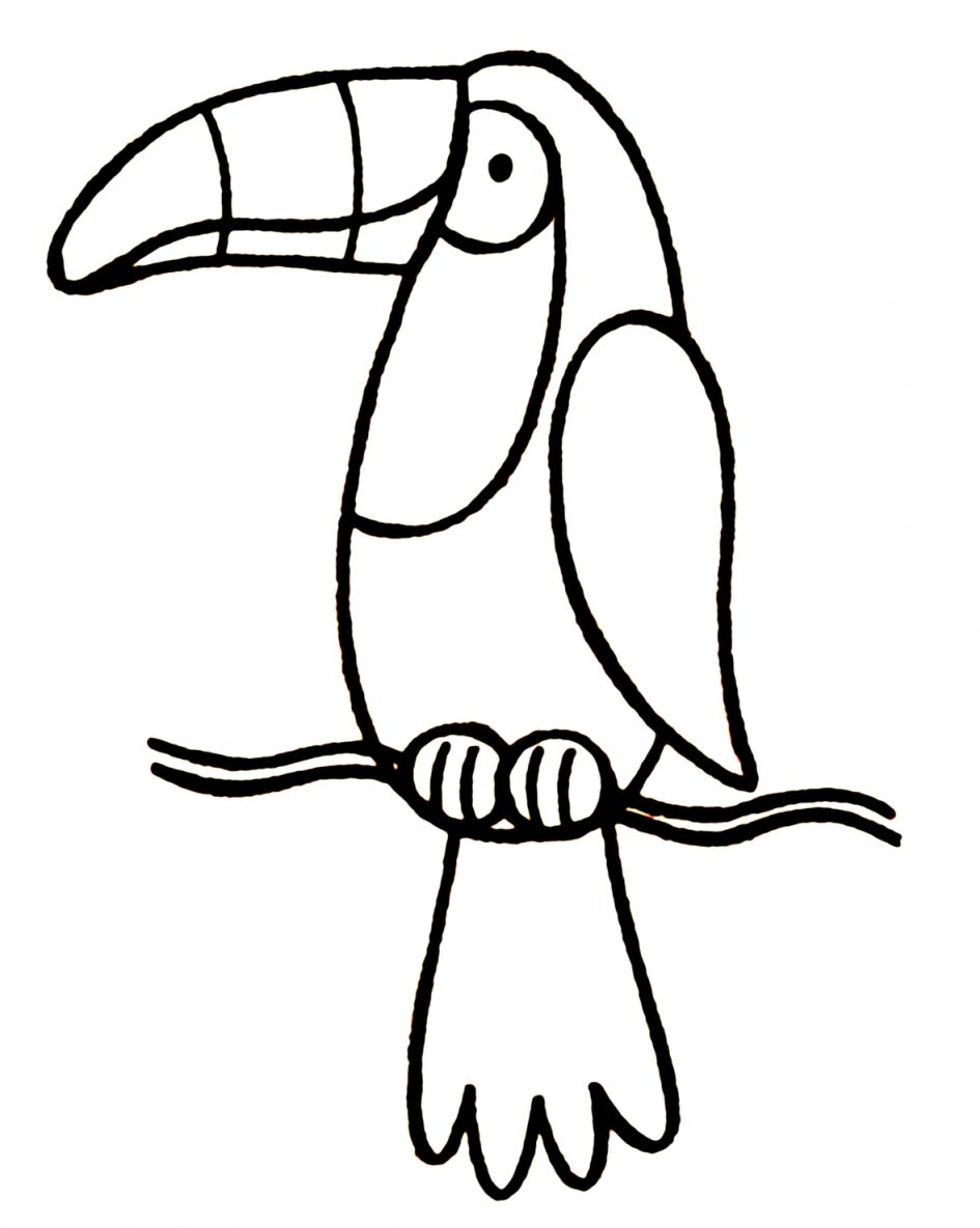 Toucan coloring #14, Download drawings