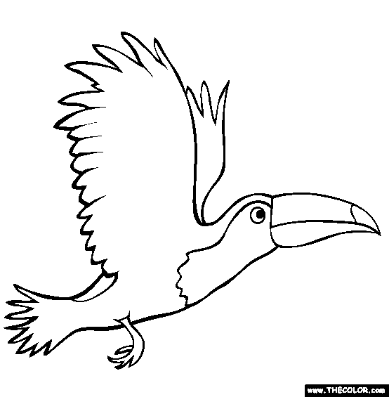 Toucan coloring #18, Download drawings