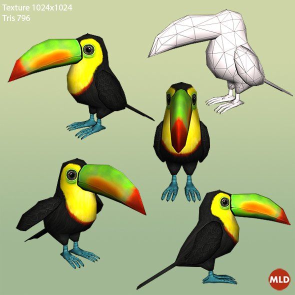 Toucanet svg #14, Download drawings