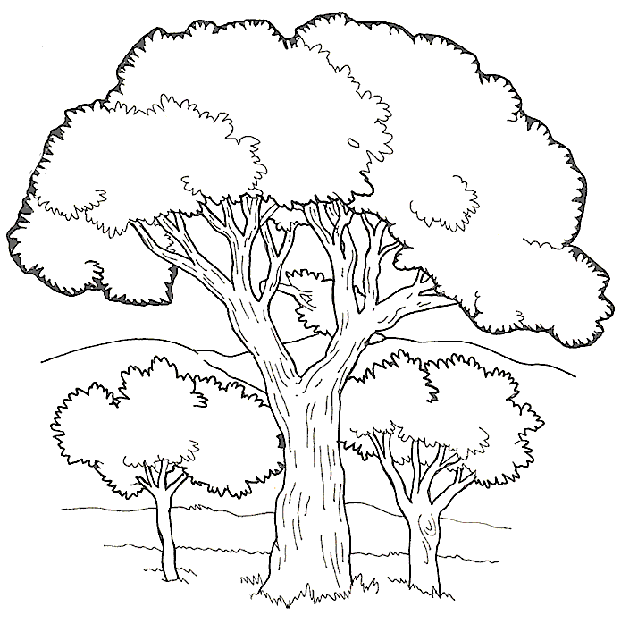 Tree coloring #13, Download drawings
