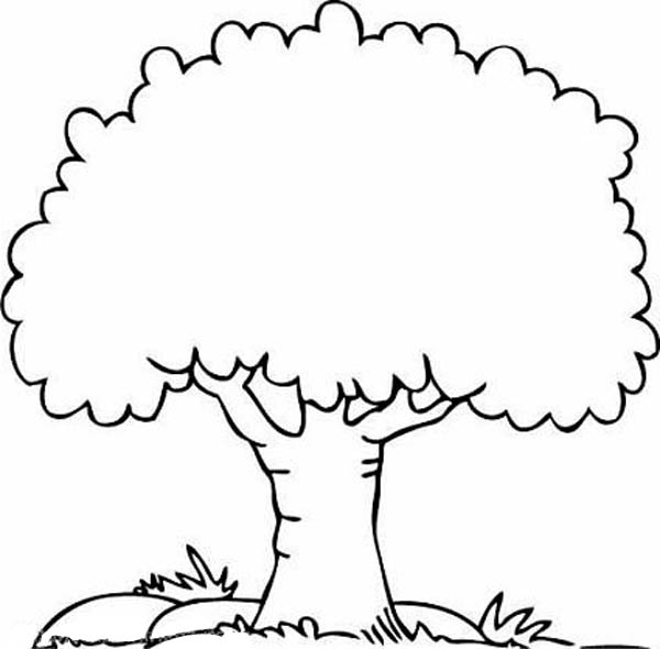 Oak Tree coloring #5, Download drawings