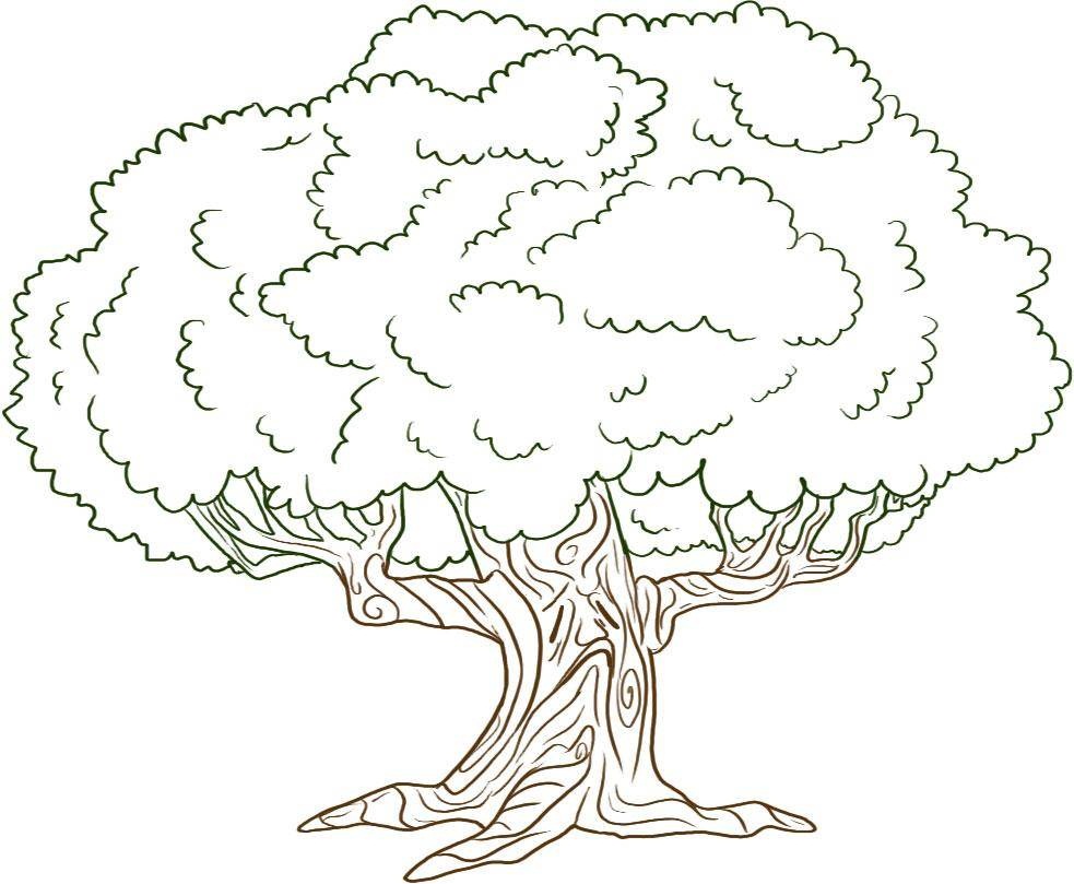 Oak Tree coloring #20, Download drawings