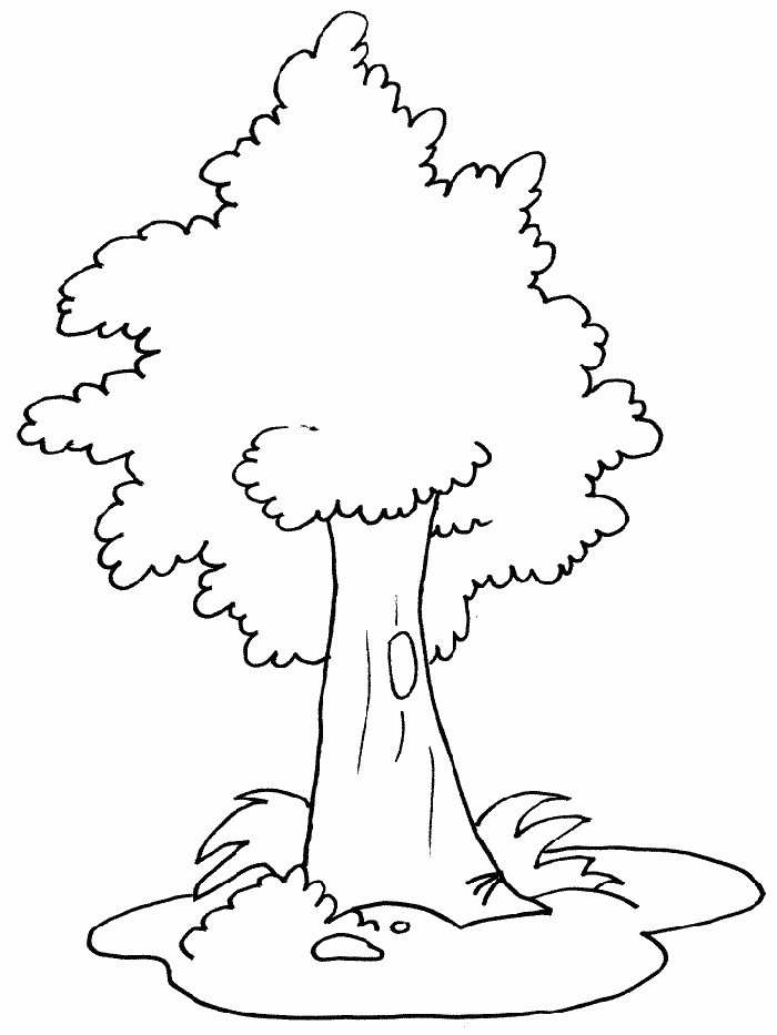Tree coloring #5, Download drawings