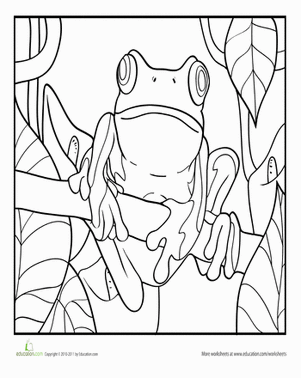 Tree Frog coloring #6, Download drawings
