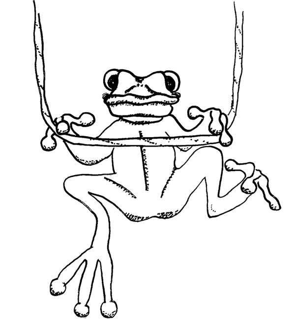 Tree Frog coloring #7, Download drawings
