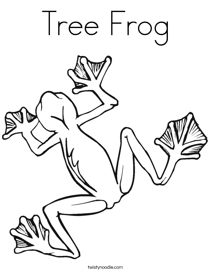 Tree Frog coloring #16, Download drawings