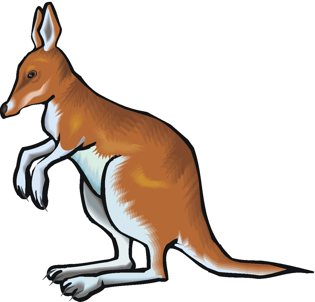 Tree Kangaroo clipart #15, Download drawings