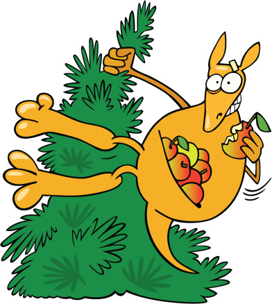 Tree Kangaroo clipart #8, Download drawings