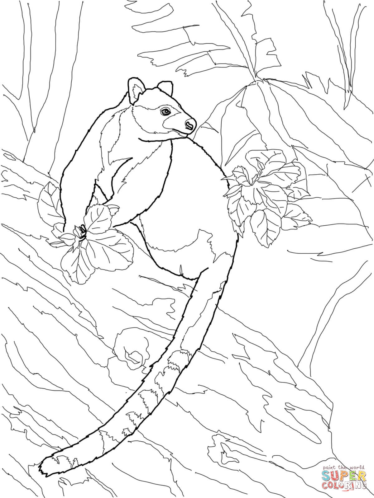 Tree Kangaroo coloring #9, Download drawings