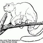 Tree Kangaroo coloring #18, Download drawings