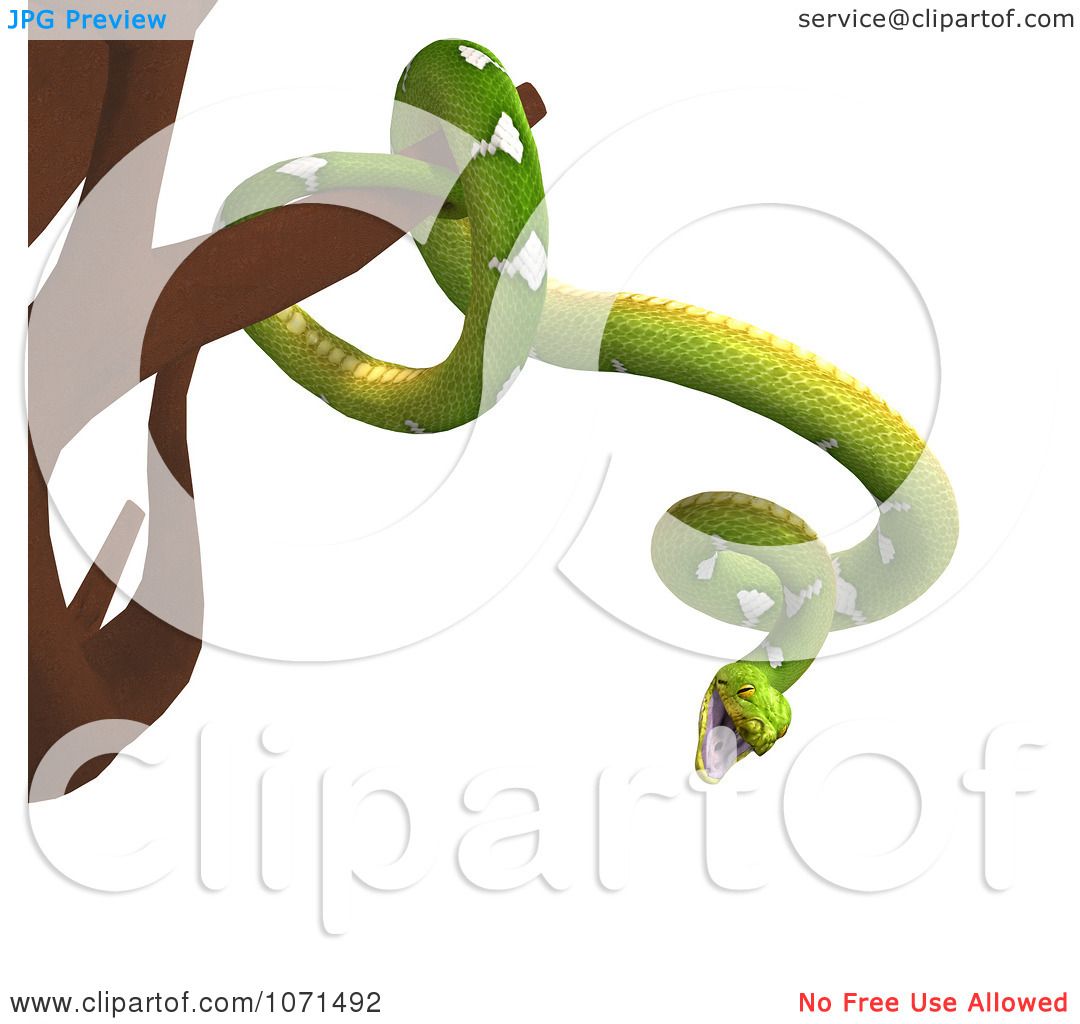 Tree Python clipart #9, Download drawings