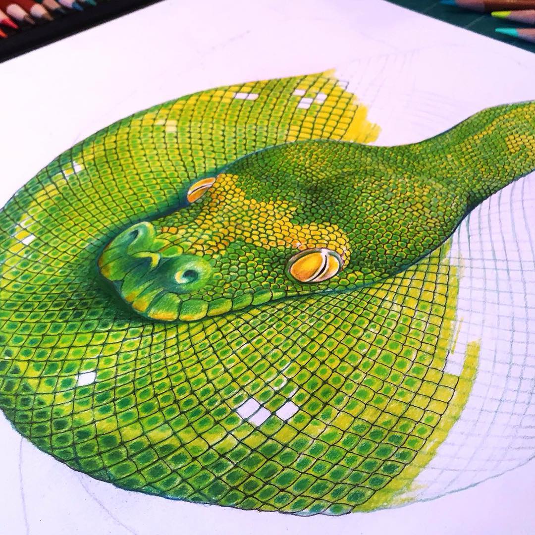 Tree Python coloring #17, Download drawings