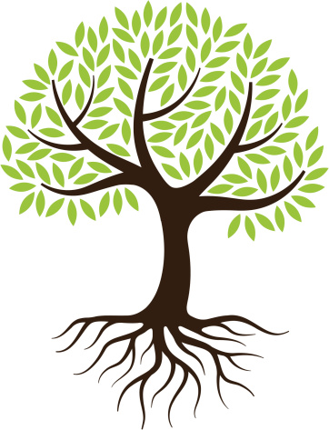 Tree Root clipart #6, Download drawings