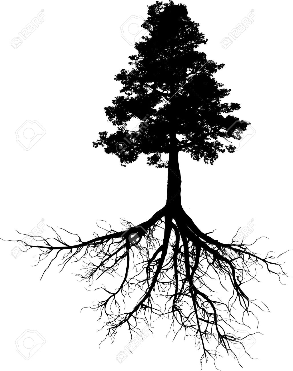 Tree Root clipart #4, Download drawings