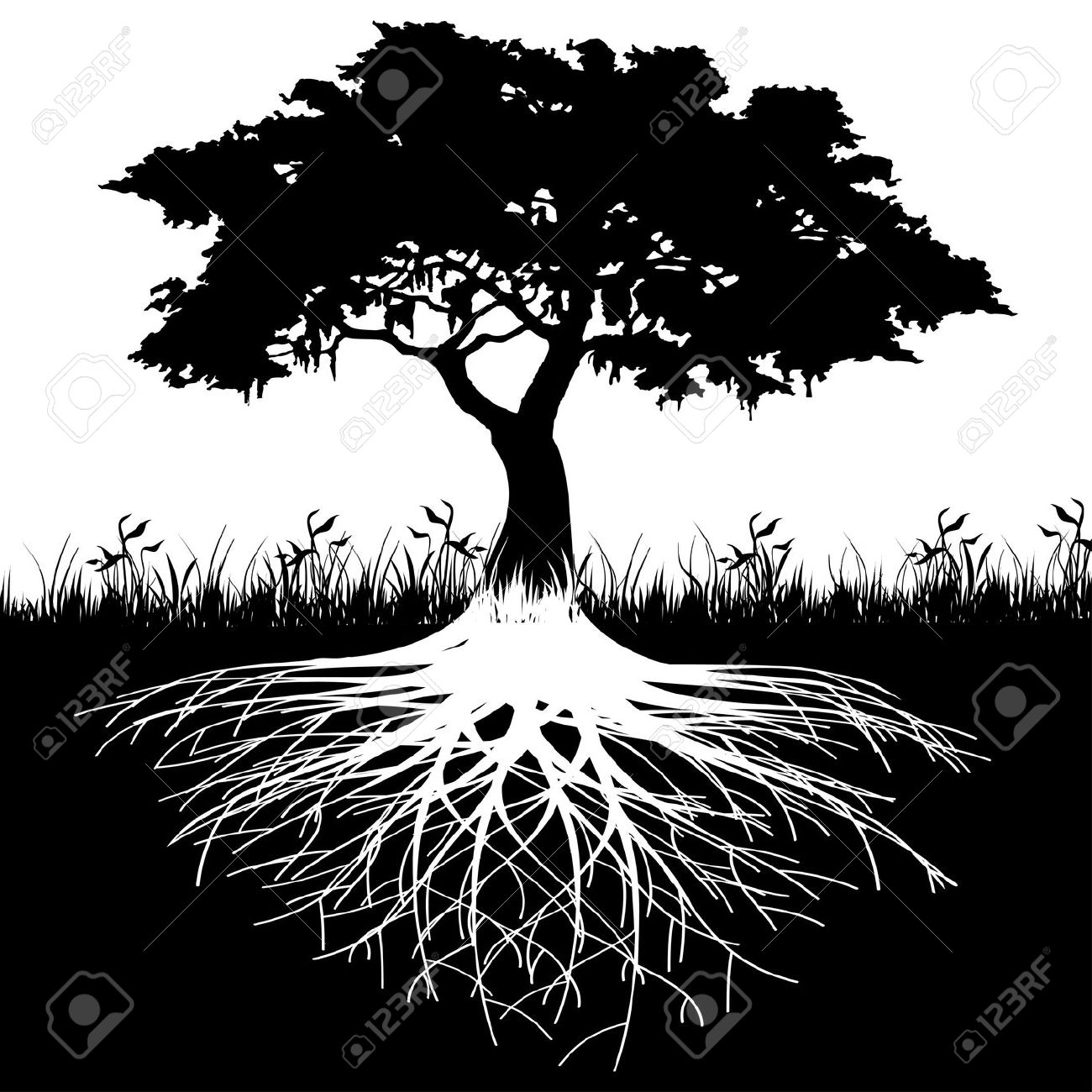 Tree Root clipart #2, Download drawings