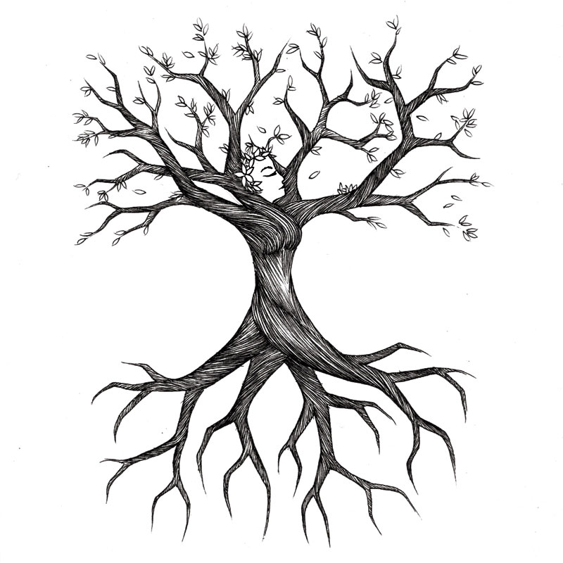 Tree Root coloring #4, Download drawings