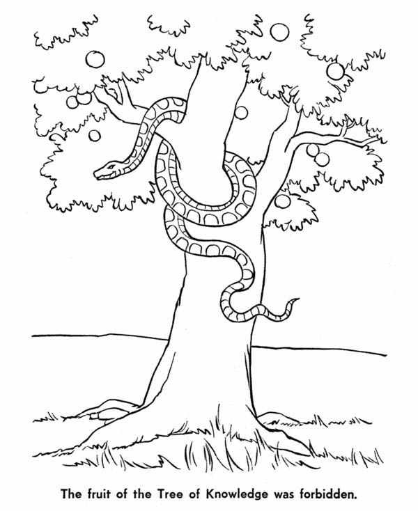 Tree Snake coloring #11, Download drawings