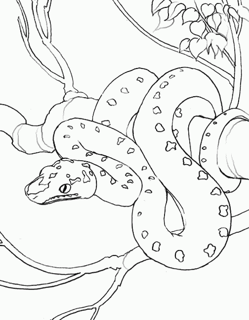 Tree Snake coloring #4, Download drawings