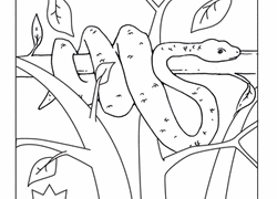 Tree Snake coloring #10, Download drawings