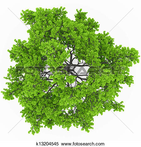 Treetops clipart #3, Download drawings